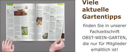 Viele aktuelle Gartentipps finden Sie in unserer Fachzeitschrift OBST-WEIN-GARTEN, die nur für Mitglieder erhältlich ist!