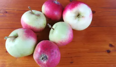 Apfel Stark Earliest